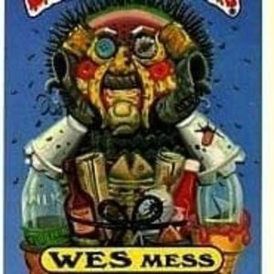 Meet your Posher, Wesley